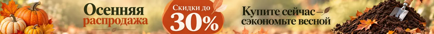 Осенняя акция 2026