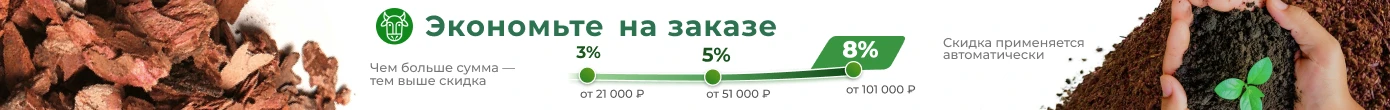 Сезон 2026