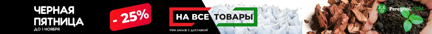 Черная пятница 2025