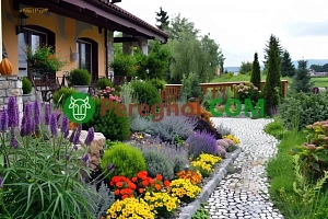 Какие цветы можно сеять на рассаду зимой?