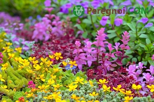 Фрезерованный грунт: состав, преимущества, применение